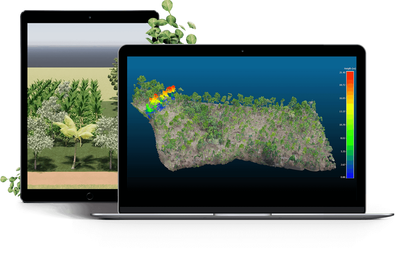 Tablet, Laptop e florestas