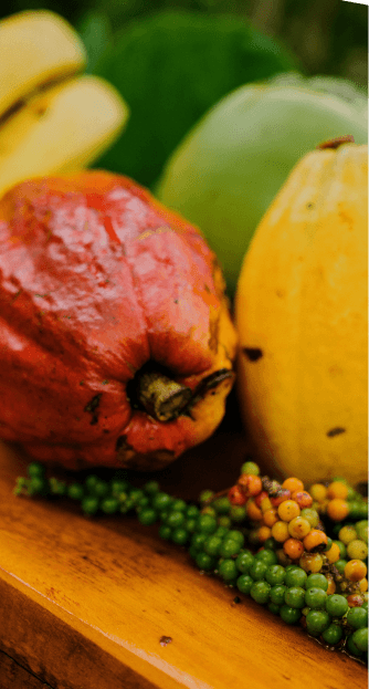 Harvested agroforest fruits