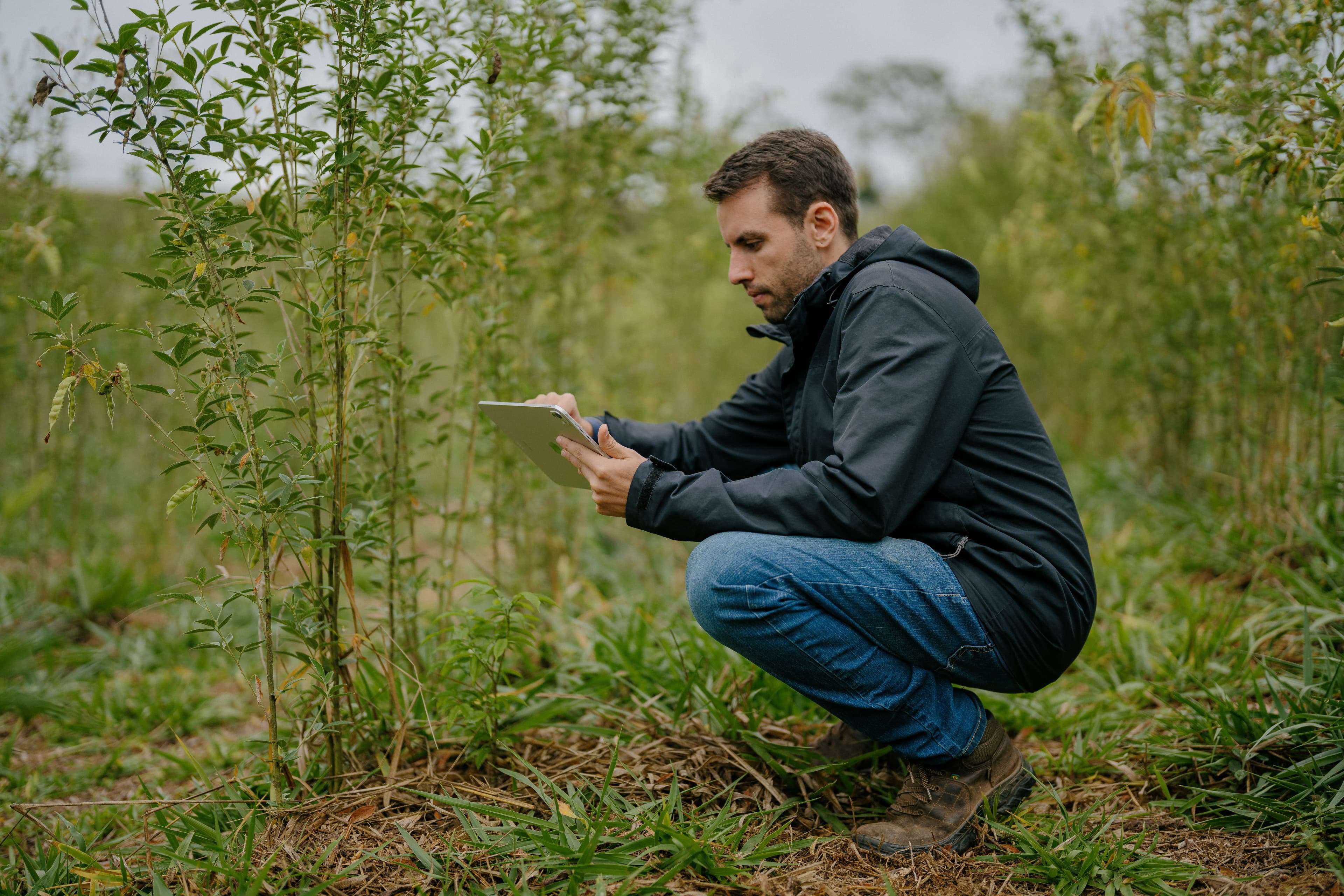 Agroforestry Project Manager (PMO) - Roraima