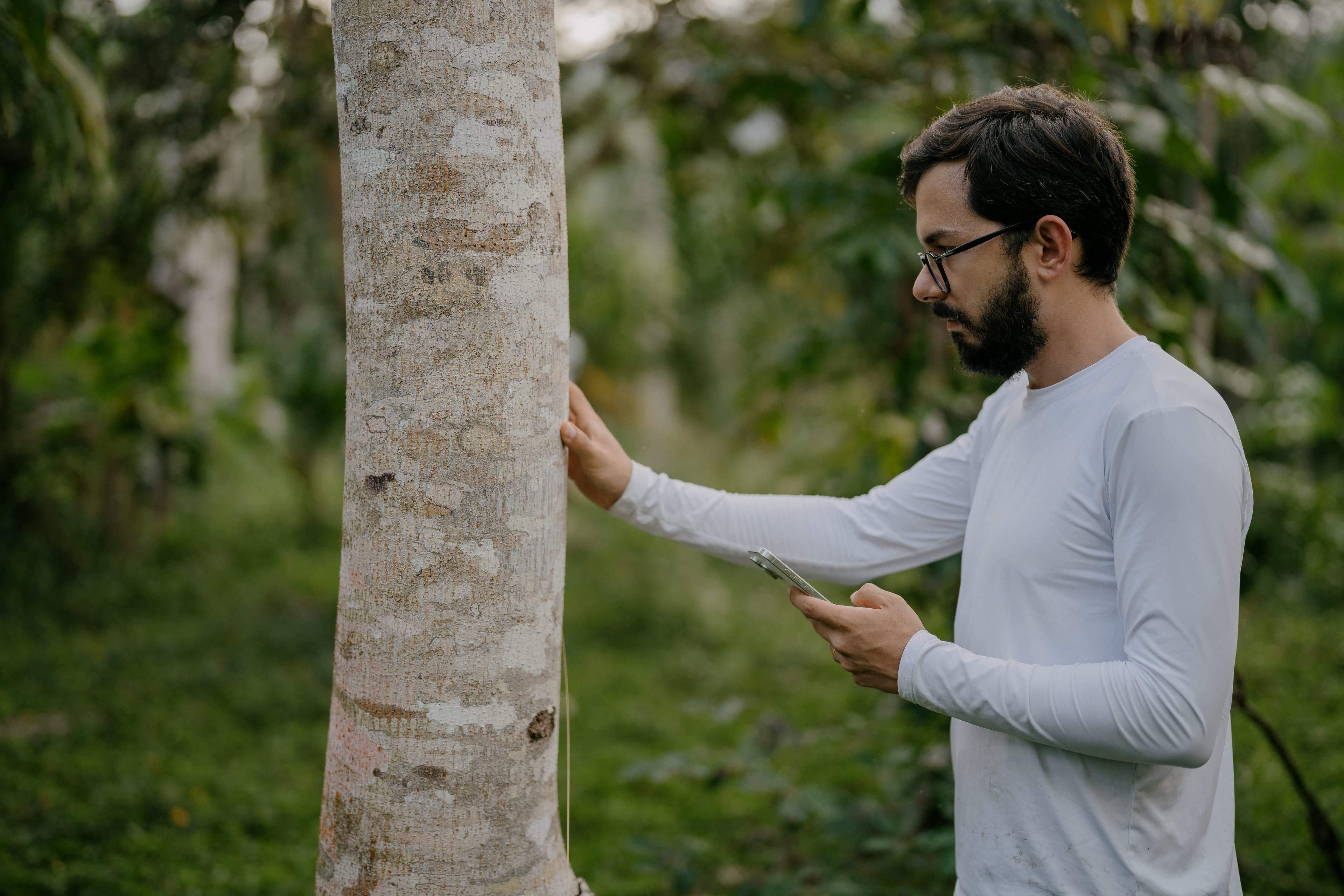 Agroforestry Data Science and Carbon Internship