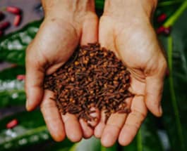 Coffee Beans