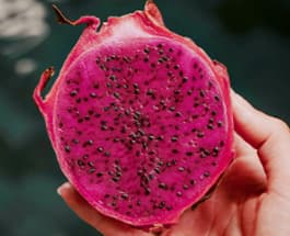 Pitaya