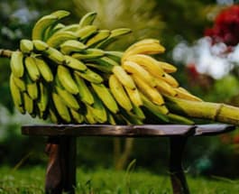 Banana