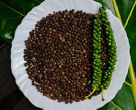 Pepper