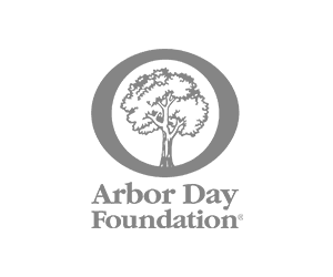 Arbor Day